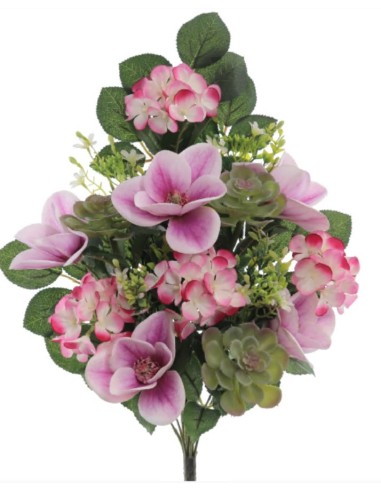 PALMA EXOTIC MAGNOLIA MALVA