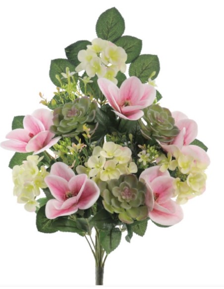 PALMA EXOTIC MAGNOLIA ROSA