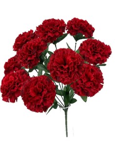 R.CLAVEL X10 M.TERCIOPELO ROJO