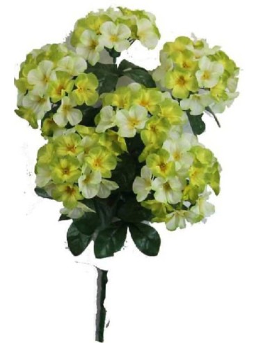 HORTENSIAS X 6 VERDE LIMA