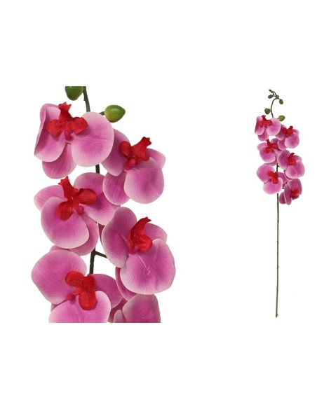 VARA ORQUIDEA X 6 R/TOUCH-76 CM (VIOLET)
