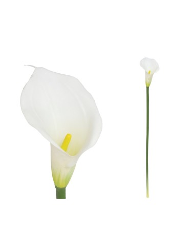 VARA CALA LATEX-72 CM (BLANCO)