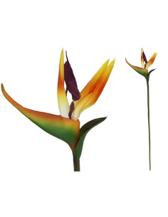 VARA AVE DEL PARAISO LATEX-62 CM