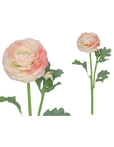 VARA RANUCULUS R/T X 2 - 47 CM (TE)