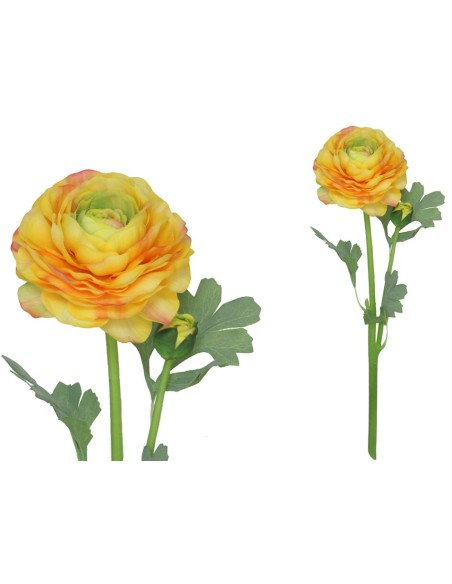 VARA RANUCULUS R/T X 2 - 47 CM (AM)