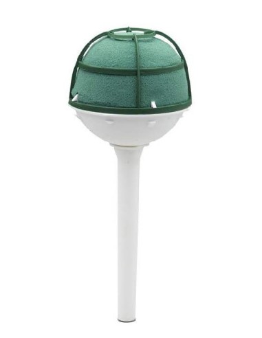 OASIS PRINCESS I 7X18CM