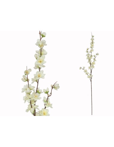 VARA PEACH BLOSSOM X4 -100CM (CREMA)