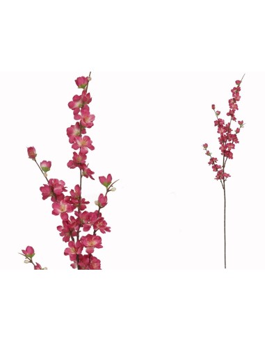 VARA PEACH BLOSSOM X4 -100CM (FUCSIA)