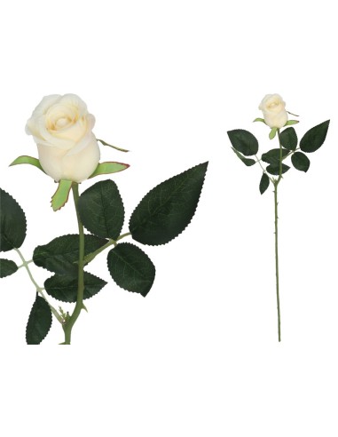 VARA CAPULLO CLASIC - 65CM (CREMA)