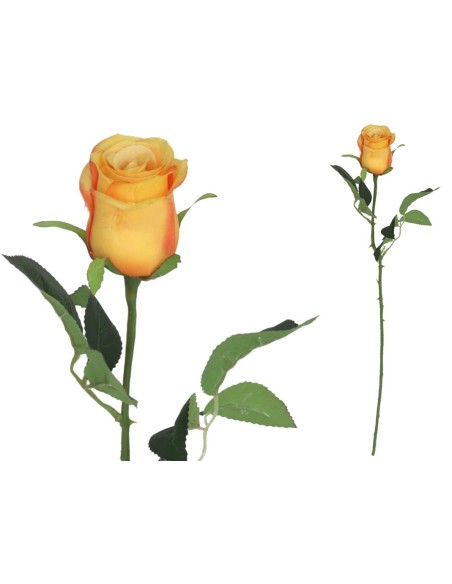 VARA CAPULLO CLASIC - 65CM (TE)