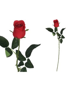 VARA CAPULLO CLASIC - 65CM (ROJO)