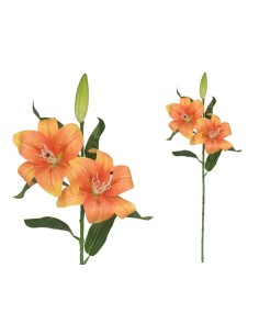 VARA LILIUM R/TOUCH X 3 -70CM (TE)