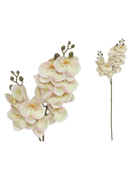 VARA ORQUIDEA X 12 R/TOUCH-76 CM(TE)