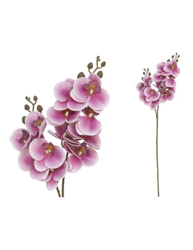 VARA ORQUIDEA X 12 R/TOUCH-76CM (VIO)