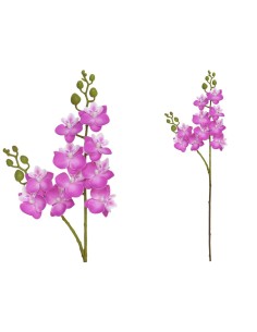 VARA ORQUIDEA X 10 R/TOUCH-63 CM(VIO)