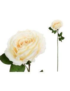 VARA ROSA CAROLINA (A)-67 CM (CREMA)