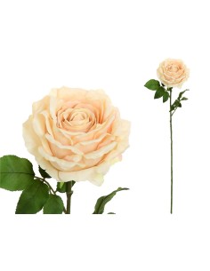 VARA ROSA CAROLINA (A) -67 CM (BEIG)