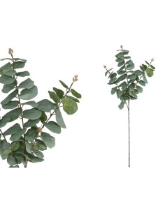 VARA EUCALIPTO 58 LVS  80CM (VERDE/CL)