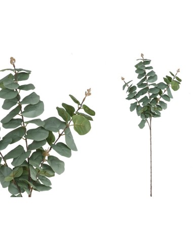 VARA EUCALIPTO 58 LVS  80CM (VERDE/CL)