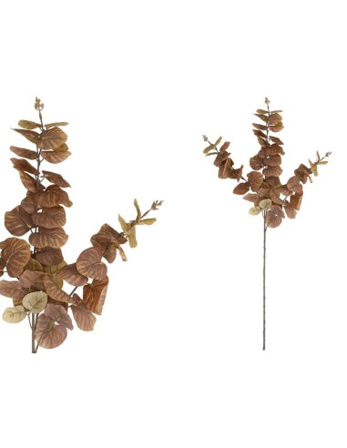 VARA EUCALIPTO 58 LVS  80 CM (MARRON)