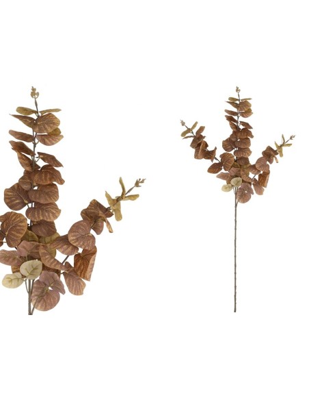 VARA EUCALIPTO 58 LVS  80 CM (MARRON)