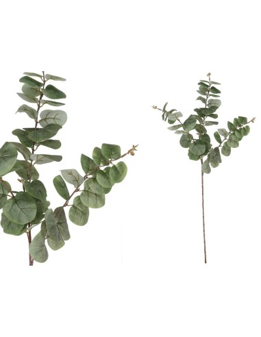 VARA EUCALIPTO 58 LVS R/T 80CM (VERDE)