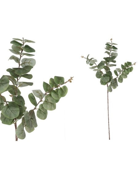 VARA EUCALIPTO 58 LVS R/T 80CM (VERDE)