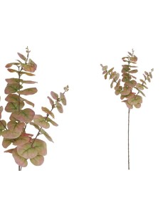 VARA EUCALIPTO 58 LVS R/T 80CM (VERDE/RS)