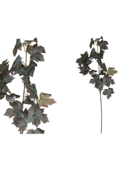 VARA HOJA PARRA X 20 -78 CM (MARRON)