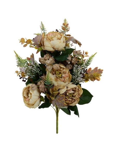 CONJUNTO PEONIA-ENKIAN (A) X16-59CM (OC)