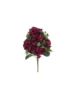 CONJUNTO HORTENSIA(A) X11-56CM (VIO)