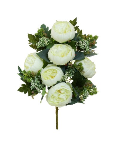 CONJUNTO PEONIA (A) X 11 -59CM (CREMA)