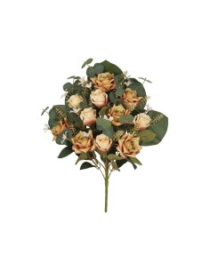 CONJUNTO ROSA-CAPULLO (A)X 11-56CM(OCRE)