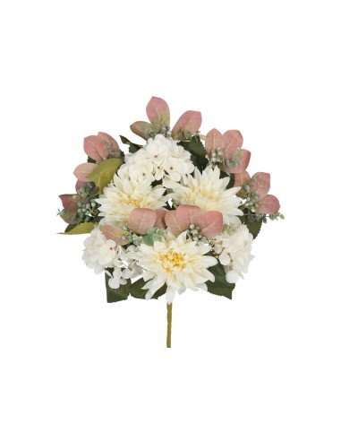 CONJUNTO DALIAS- HYD (A) X 13-55CM (CR)