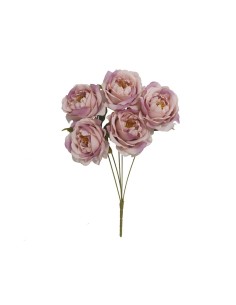 RAMO PEONIA AUTUMN X 5-40 CM (MALVA)