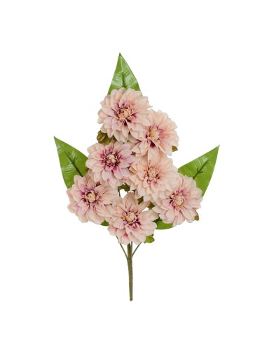 CONJUNTO DALIA (A) X 8 -53 CM (ROSA)