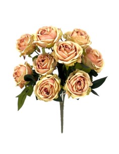 R.ROSAS X9 SALMÓN 45cm