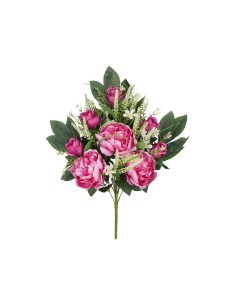 CONJUNTO PEONIA-CAPULLO X 12 - 55CM (VT)