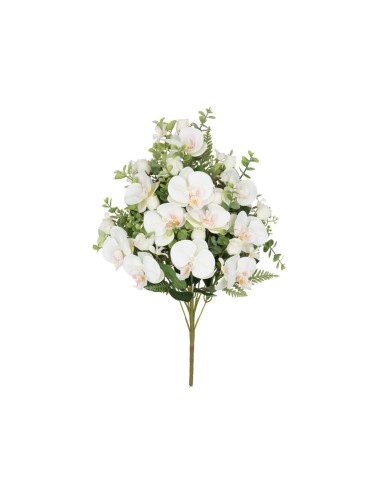 CONJUNTO ORQUIDEAS-CAP X 11 -56CM (BL)