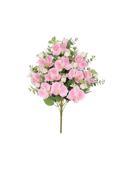 CONJUNTO ORQUIDEAS-CAP X 11 -56CM (ROSA)
