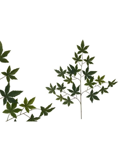 VARA HOJAS DE ARCE R/T X 18 - 68 CM