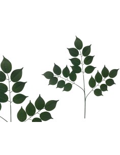 VARA FICUS HOJA GRANDE X 21 - 66 CM