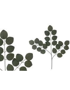 VARA EUCALPYTUS HOJA GRANDE X 21 - 66CM