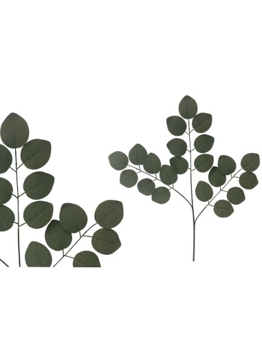 VARA EUCALPYTUS HOJA GRANDE X 21 - 66CM