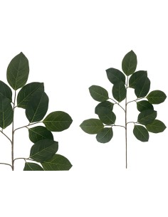 VARA HOJAS DE FICUS PRINTED X 15 - 59 CM