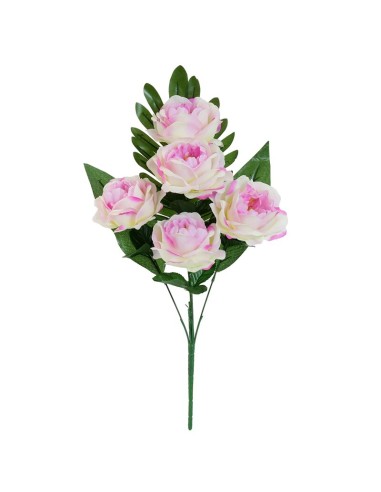 CONJUNTO PEONIA X 5-50CM (MALVA)