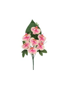 CONJUNTO ORQUIDEAS R/T X 7 - 50 CM (TE)