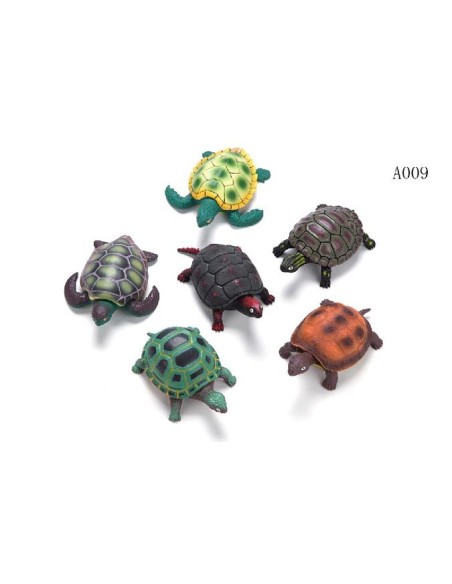 TORTUGAS BLANDITAS EXP.24