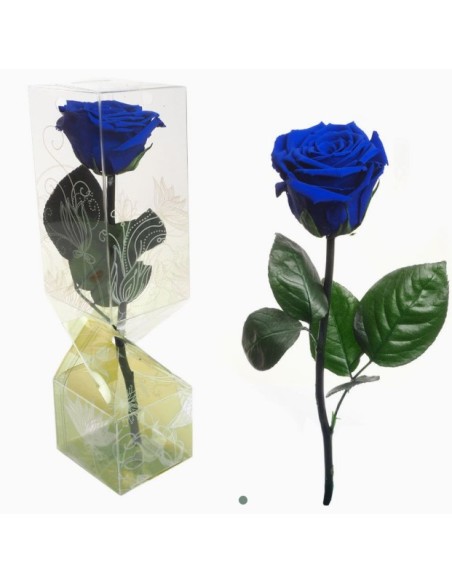 ROSA PRESERVADA TALLO CORTO AZUL OSCURO