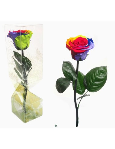 ROSA PRESERVADA TALLO CORTO MULTICOLOR